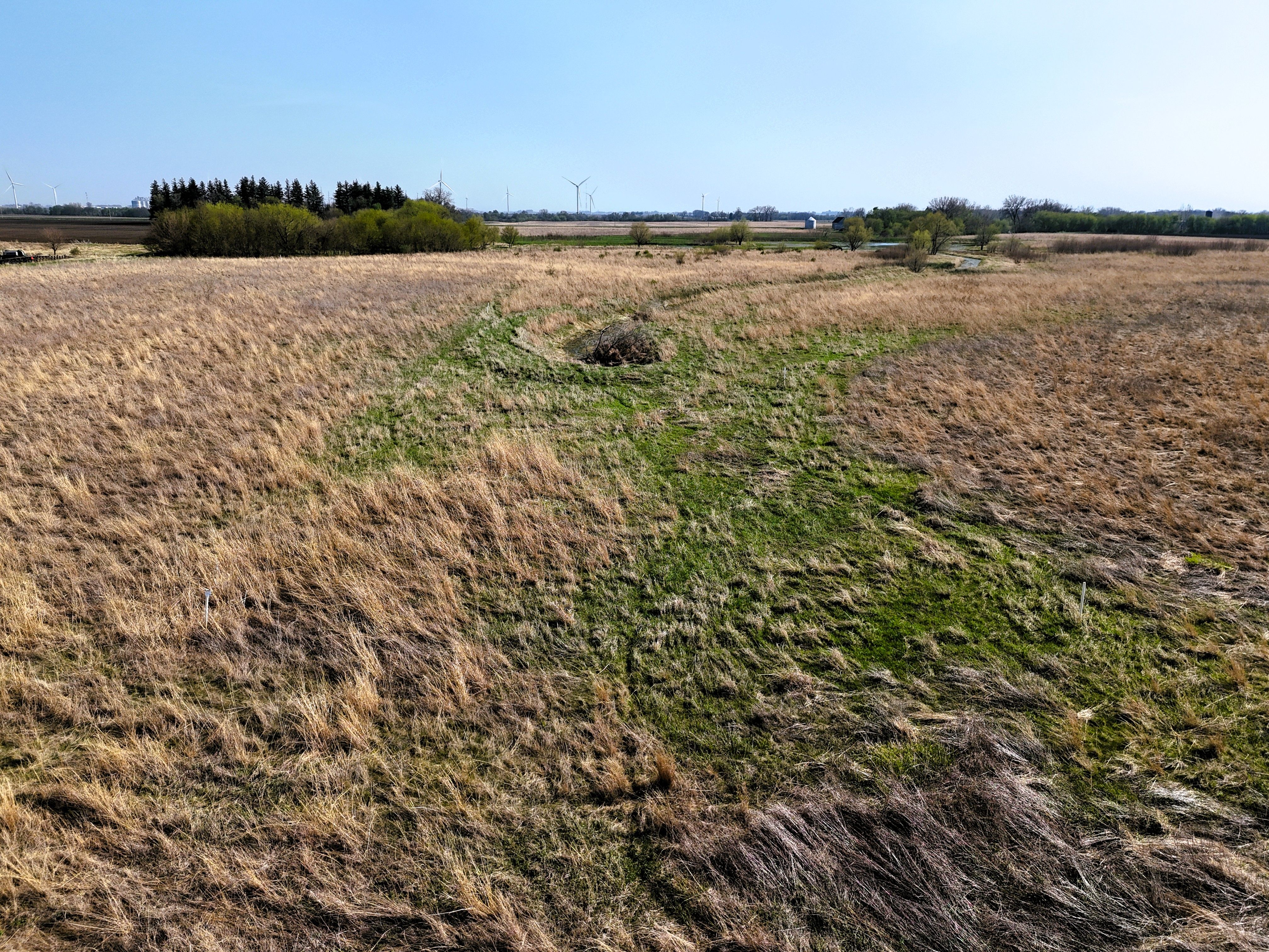 Listing Photo: Ground 11